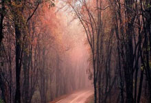 NG体育官网：曝热刺关注伯恩茅斯主帅伊劳拉 若解雇澳波将积极追他.