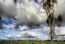 NG体育官网：里夫斯：你不可能打出完美的比赛 必须在比赛末段全神贯注才行.