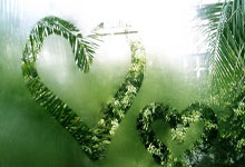 NG体育官网：Relevo：贝蒂斯想留下安东尼主要靠和曼联搞好关系.